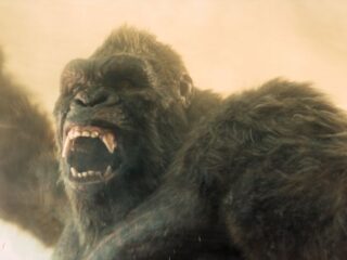 2. sezon „Monarch: Dziedzictwo potworów” na zwiastunie. Akcja przenosi się na wyspę Czaszki