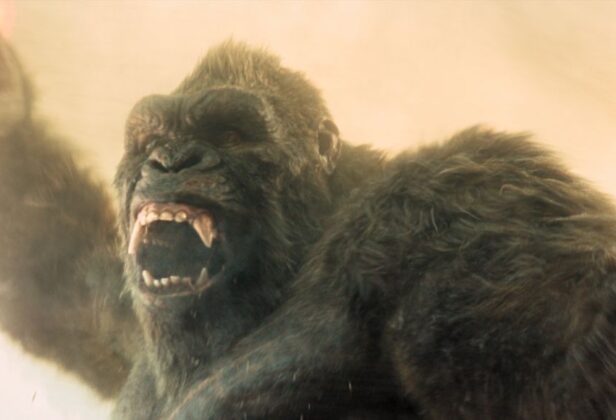 2. sezon „Monarch: Dziedzictwo potworów” na zwiastunie. Akcja przenosi się na wyspę Czaszki