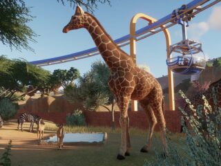 Kontynuacja Planet Zoo w przyszłym roku. Symulator zarządzania ogrodem zoologicznym obchodzi 6. urodziny