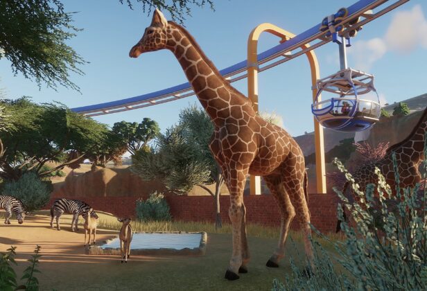 Kontynuacja Planet Zoo w przyszłym roku. Symulator zarządzania ogrodem zoologicznym obchodzi 6. urodziny