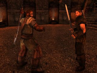 Nowy mod do&nbsp;Gothica 2 wyprowadził mnie z&nbsp;równowagi. Złote wrota 2 – Serce Bogini mogłyby spokojnie stanąć obok Kronik Myrtany, ale&nbsp;popełniły o&nbsp;parę błędów za&nbsp;dużo