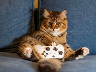 [Klub Samotnego Sylwestrowicza] Gorąca noc przed&nbsp;nami. W&nbsp;co&nbsp;planujecie grać z&nbsp;2025 na&nbsp;2026?