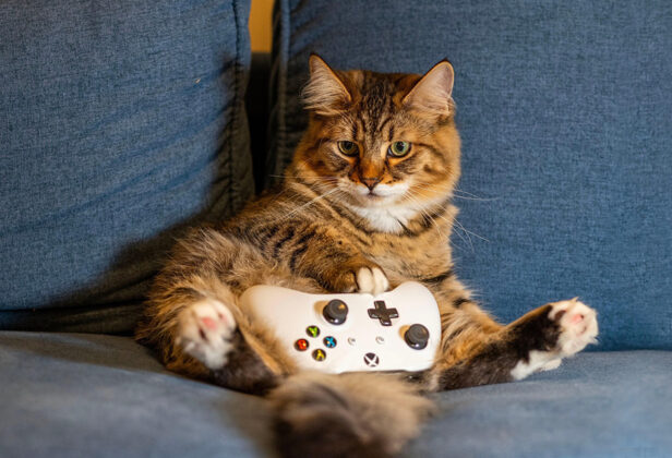 [Klub Samotnego Sylwestrowicza] Gorąca noc przed&nbsp;nami. W&nbsp;co&nbsp;planujecie grać z&nbsp;2025 na&nbsp;2026?