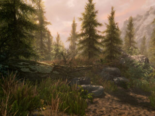 Wielkie zgadywanie, ile drzew jest w&nbsp;Skyrimie. Do&nbsp;zabawy przyłączył się sam Todd Howard