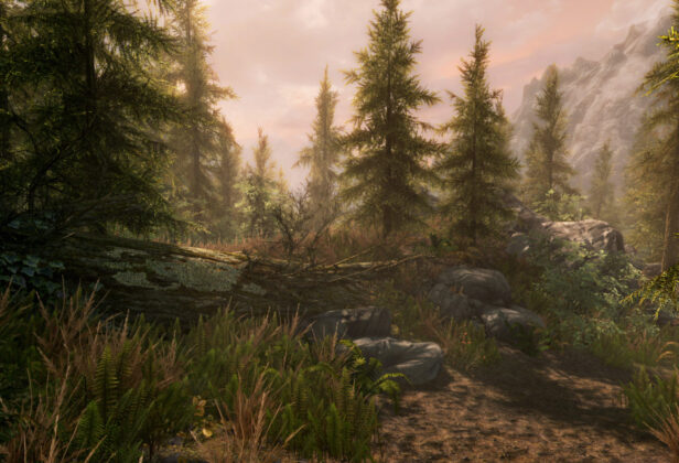 Wielkie zgadywanie, ile drzew jest w&nbsp;Skyrimie. Do&nbsp;zabawy przyłączył się sam Todd Howard