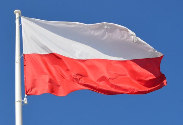 Rząd dotuje polską branżę gier. Ogłoszono wyniki kolejnej edycji Programu Wsparcia Gier Wideo