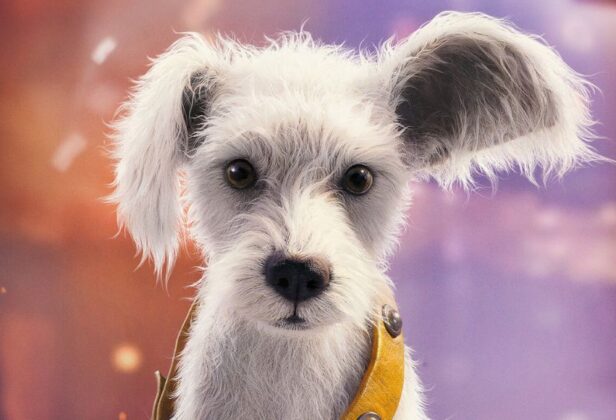 Pies, który&nbsp;został bohaterem. Krypto kradnie serca fanów w&nbsp;nowej zapowiedzi „Supergirl”