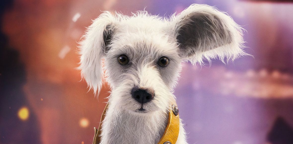 Pies, który&nbsp;został bohaterem. Krypto kradnie serca fanów w&nbsp;nowej zapowiedzi „Supergirl”