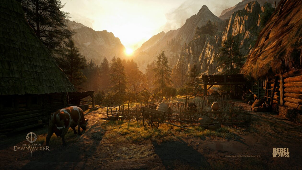 The Blood of Dawnwalker 