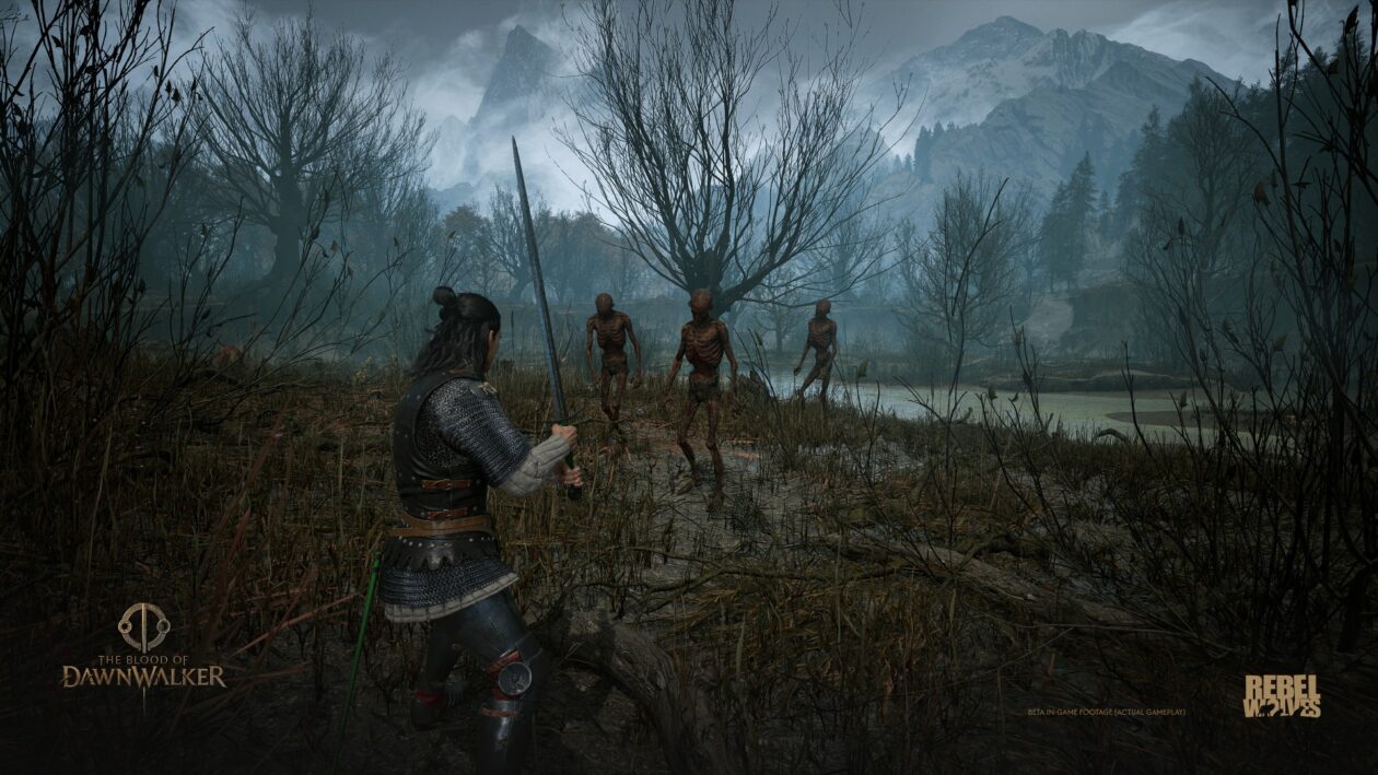 The Blood of Dawnwalker 