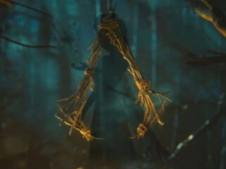 Pechowej serii ciąg dalszy. Kolejna osoba rezygnuje z&nbsp;pracy nad&nbsp;Assassin’s Creed: Hexe