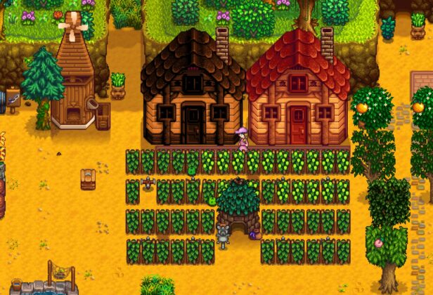 Stardew Valley może wkrótce pozwolić na&nbsp;zdradę małżonka. Twórca uważa, że&nbsp;mamy prawo być okropni w&nbsp;jego grze