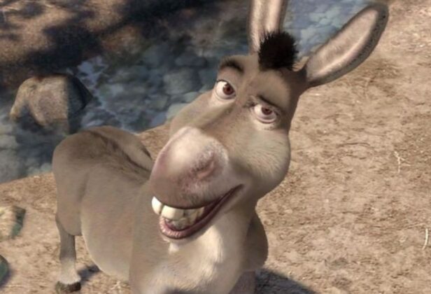 „Shrek 5” to&nbsp;nie&nbsp;wszystko. Osioł idzie w&nbsp;ślady Kota w&nbsp;Butach i&nbsp;dostanie własny spin-off