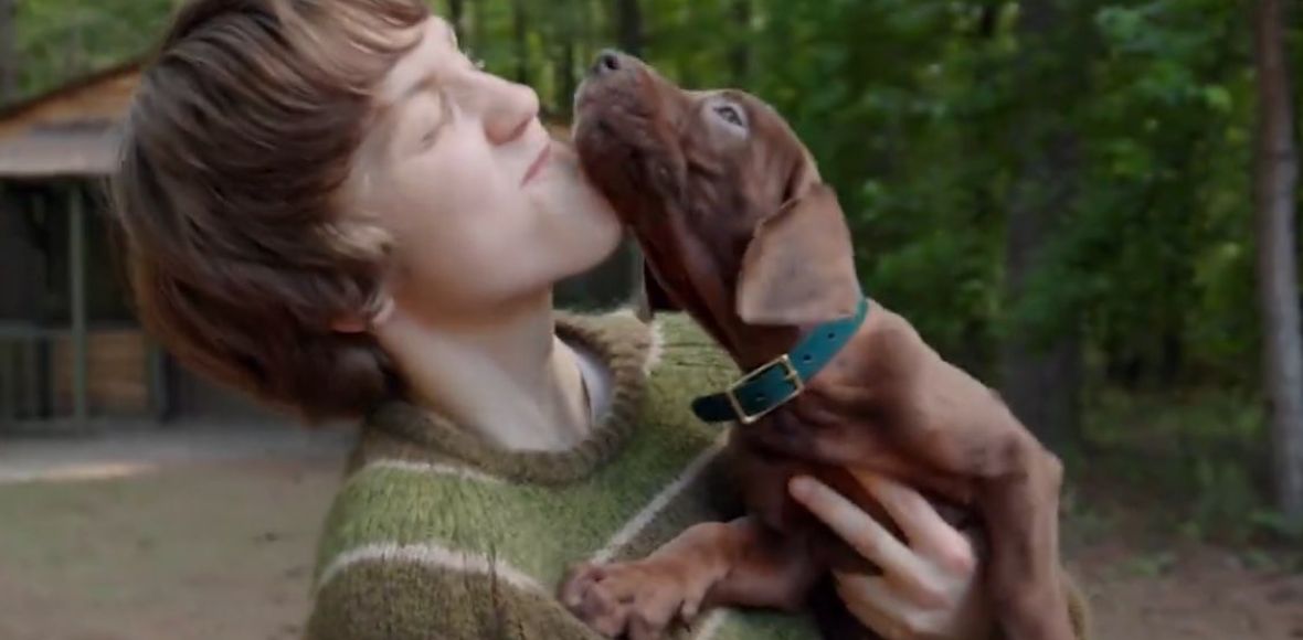 To&nbsp;najsłodszy pies w&nbsp;popkulturze? Serialowy Scooby-Doo pokazany na&nbsp;pierwszym zdjęciu i&nbsp;teaserze