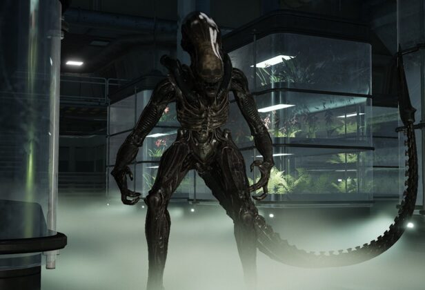Znamy datę premiery Aliens: Fireteam Elite 2. Sieczki na&nbsp;ksenomorfach dokonamy jeszcze tego lata