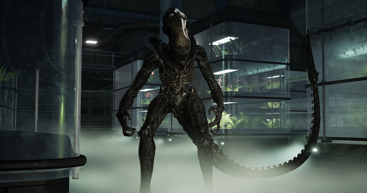 Znamy datę premiery Aliens: Fireteam Elite 2. Sieczki na&nbsp;ksenomorfach dokonamy jeszcze tego lata