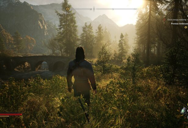 The Blood of Dawnwalker wygląda przyzwoicie, ale&nbsp;wymagania i&nbsp;optymalizacja budzą poważne wątpliwości [RECENZJA TECHNICZNA]